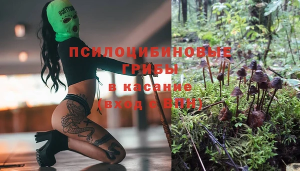 ешки Абинск