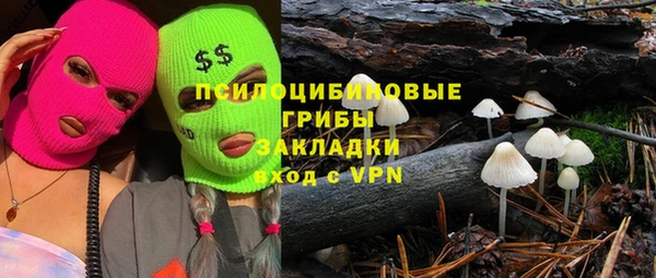 мдпв Абдулино