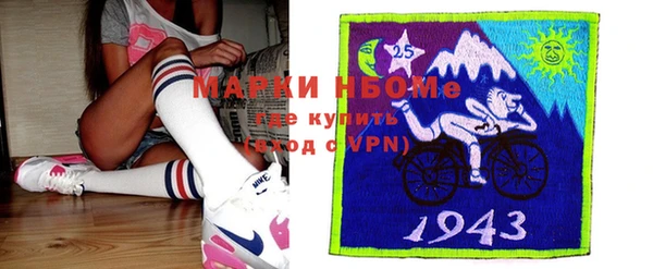 хмурый Алзамай