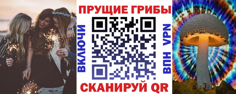 что такое   Череповец  Галлюциногенные грибы MAGIC MUSHROOMS 